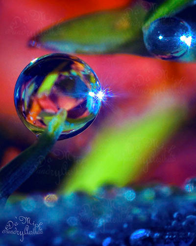 "Dew"